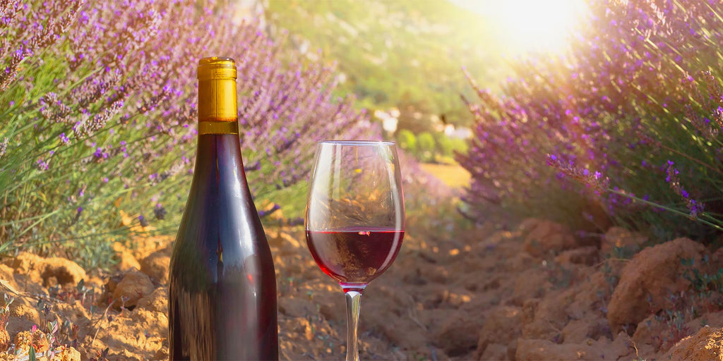 Les Goûts de la Provence im Kreis 4 – Degustation Zürich