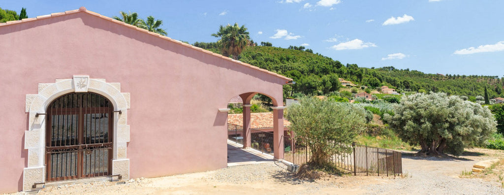Die drei Töchter vom rosa Haus